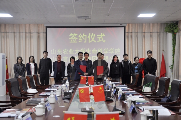 _DSC0076_副本.jpg