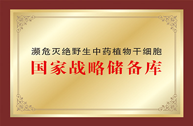 永信贵宾会217·(中国区)官方网站