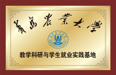 永信贵宾会217·(中国区)官方网站