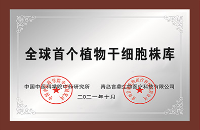 永信贵宾会217·(中国区)官方网站