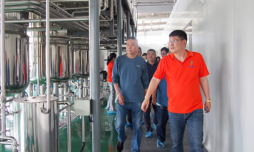 永信贵宾会217植物胚性干细胞技术将为即墨黄酒产业赋能