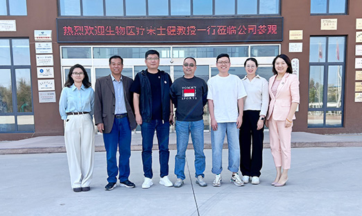 创新驱动科技，赋能产业发展