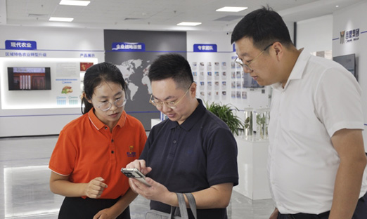 巴中市恩阳区辅导莅临永信贵宾会217集团调查互换，携手同谋发展新索求